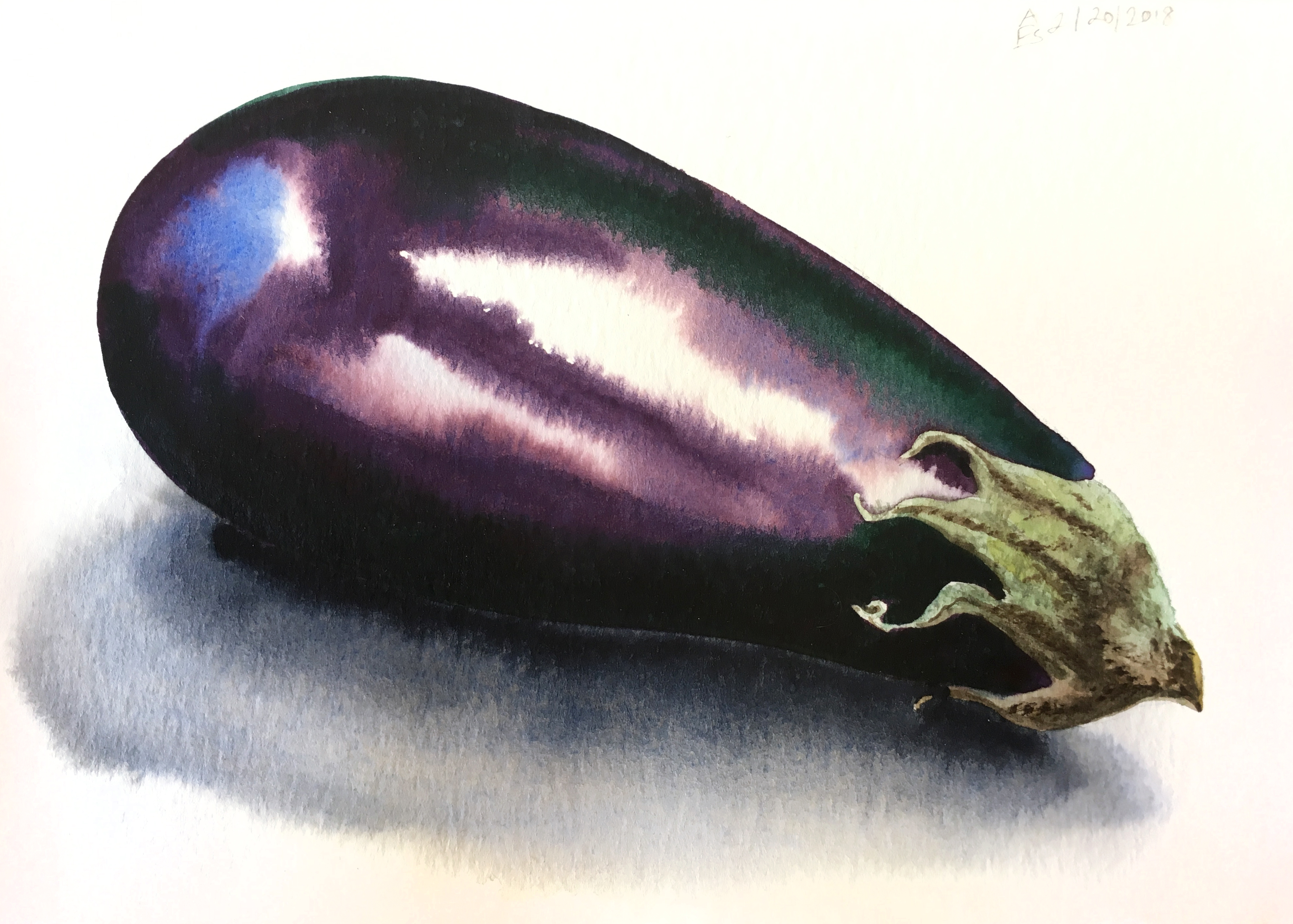 Watercolor Basics