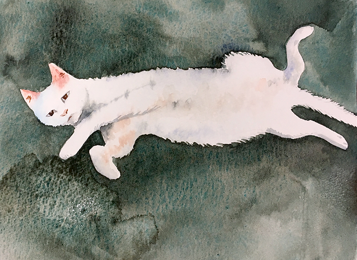 Watercolor Basics