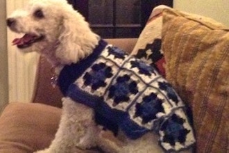 Crocheted Granny Square Dog Sweater