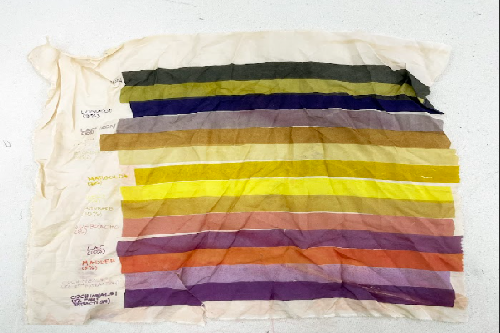 Screen Printing with Natural Dyes (4 week)