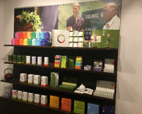 Introduction to Tea & Tea Tasting (Special Price for 3)