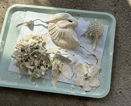 Porcelain Plants
