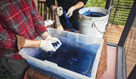 Natural Dye – One Day Class