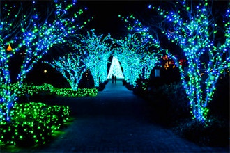 Atlanta Botanical Garden Lights Photo Stroll On Location