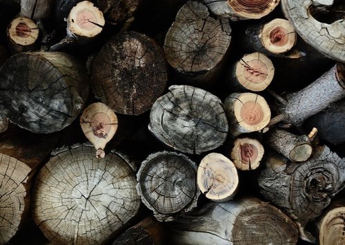 Into the Woods: Creating Wood Based Natural Perfume