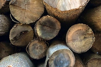 Creating Wood Based Natural Perfume