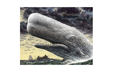 Moby-Dick: Reading the White Whale