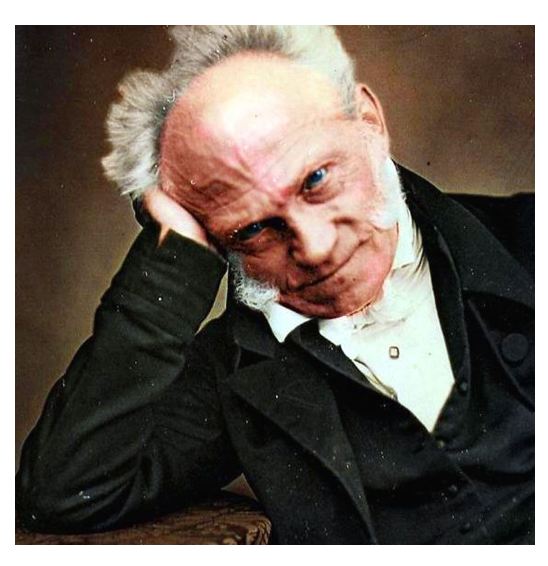 The Worst of All Possible Worlds: an Introduction to Schopenhauer