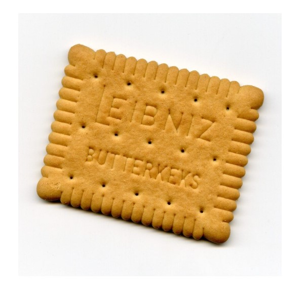 The Best of All Possible Worlds: an Introduction to Leibniz