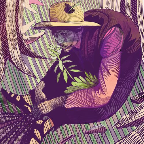 Procreate for Fine Artists