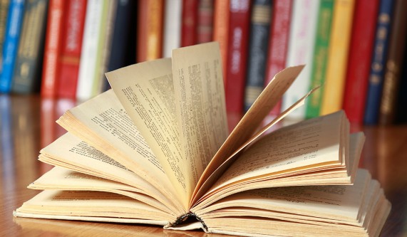The Next Bestseller Workshop