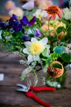 Floral Arrangement Supply Kit — Ladybird Poppy Floral Design