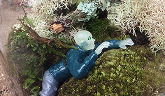 Zombie Terrariums