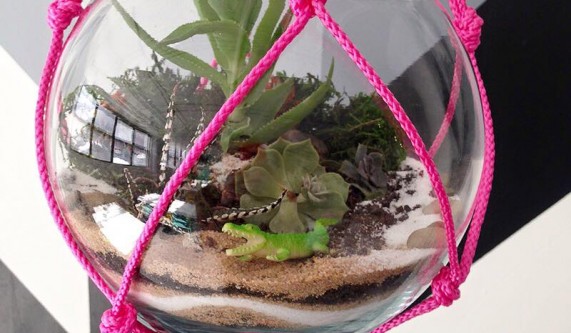 Hanging Macrame Terrarium