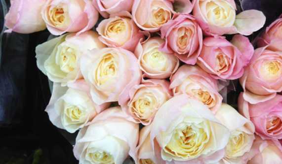 DIY Mother’s Day Bouquet