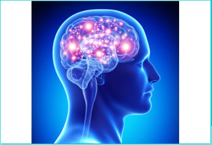 Healthy Brain Aging