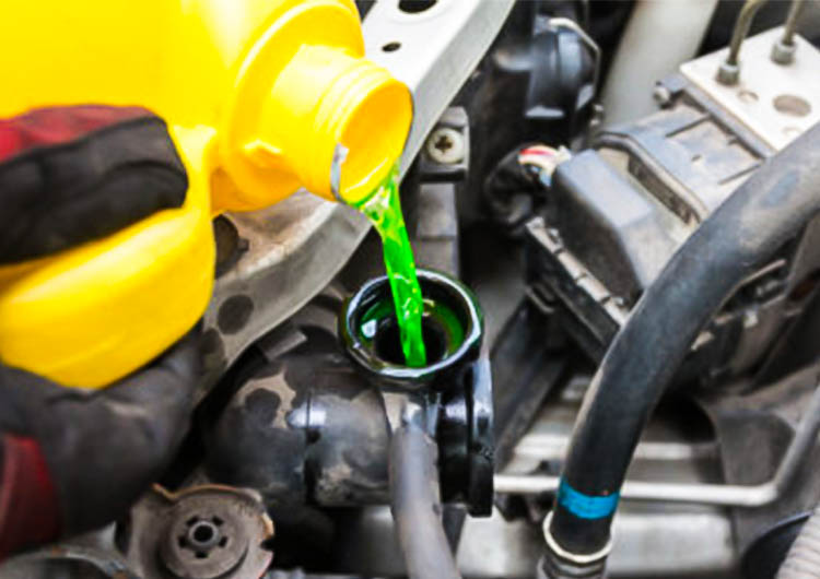 Automotive Fluids