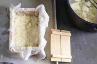 Extreme DIY: Tofu Making