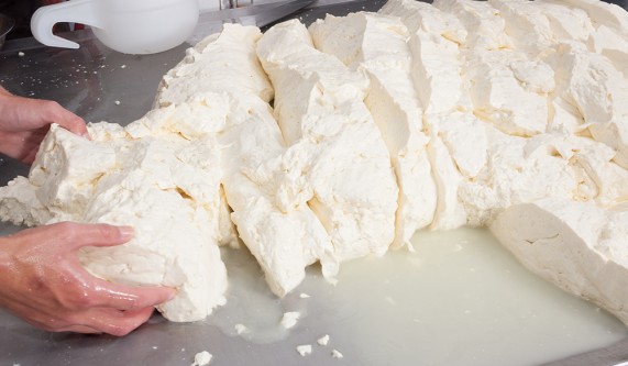 Cheese Making Series: All Three Milkcrafting Series