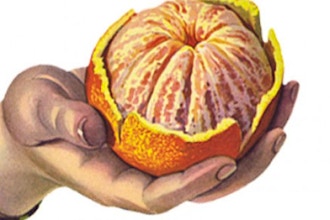 Saving The Season: Citrus