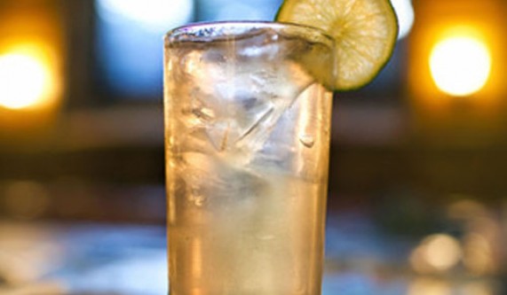 Gin & Tonic 101