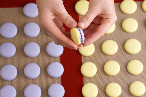 Couple Date Class: French Macaron Class