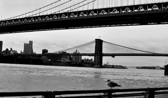 Walk Manhattan 1 Photo Tour