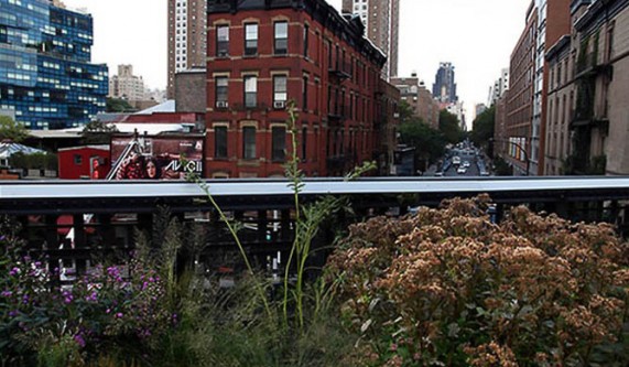 Photographing the High Line