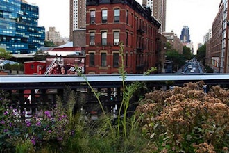 Photographing the High Line