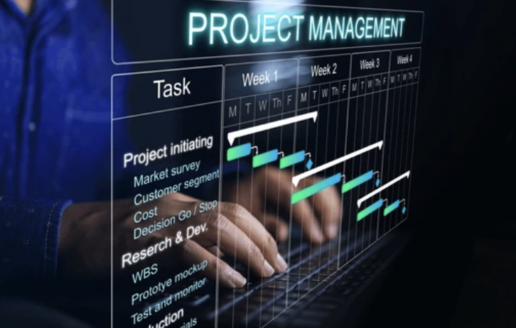 Innovation and Project Management