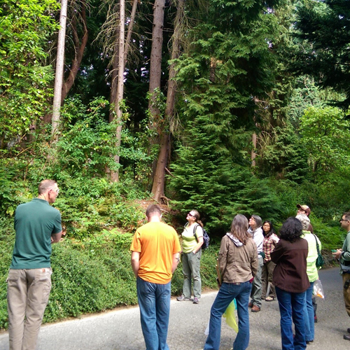 Curator Tour: Fall Color in the Arboretum