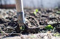Buried Alive!: Digging into Soil Biology and Ecology