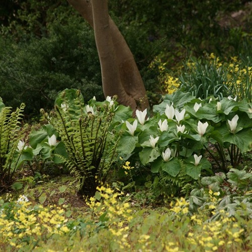 Garden Gold: Home Composting 101