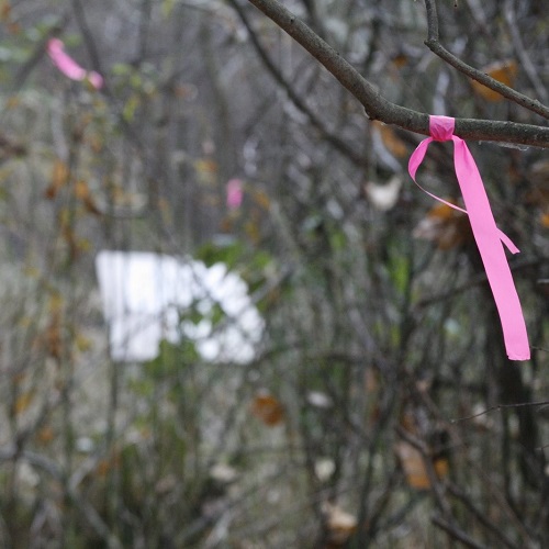 Taking the Edge off: Pruning for Natural Areas Workshop