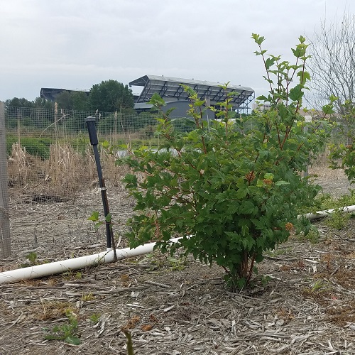 Restoration Project Management