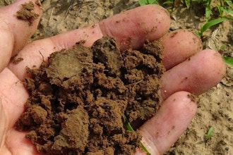 Digging In: Soil Management and Remediation Techniques
