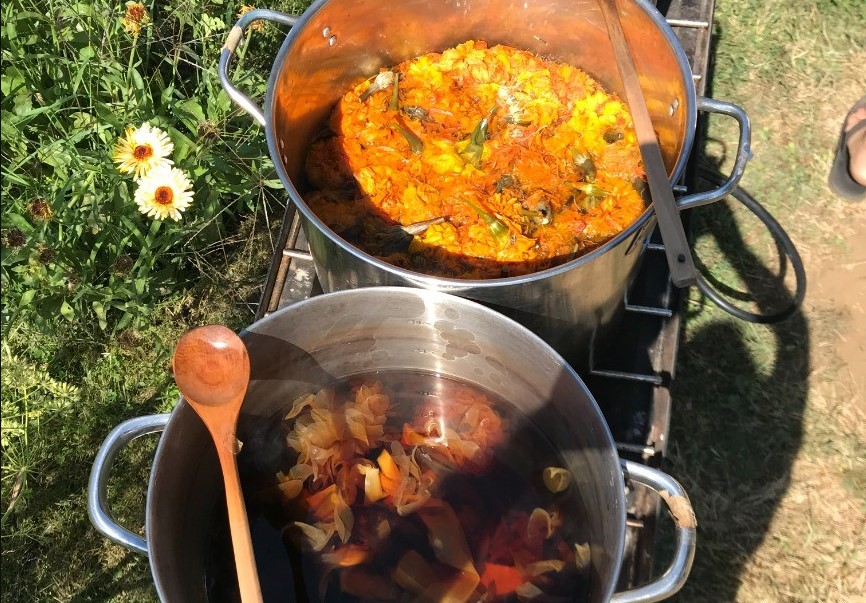 Local Plants for Natural Dyes and Pigments