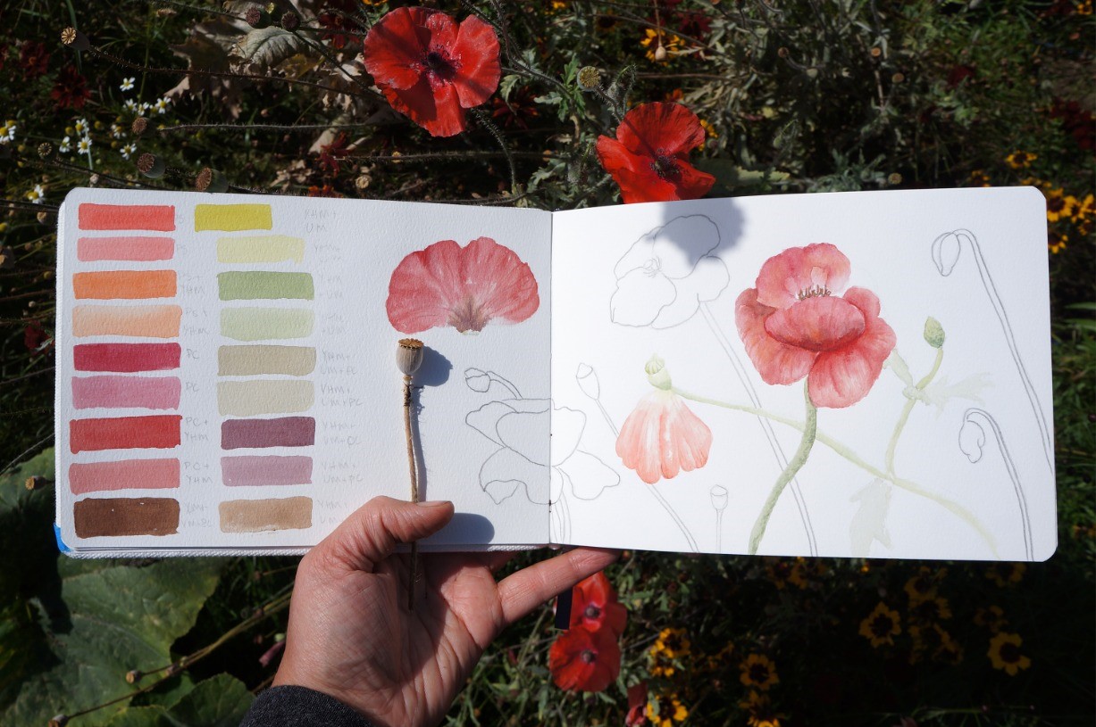 Plein Air Plants