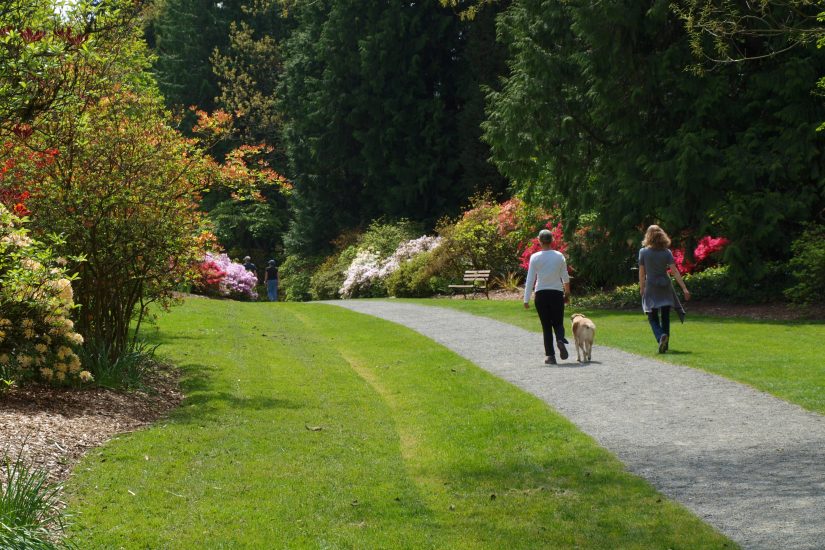 Friends of Seattle's Olmsted Parks Walking Tour: Volunteer Park