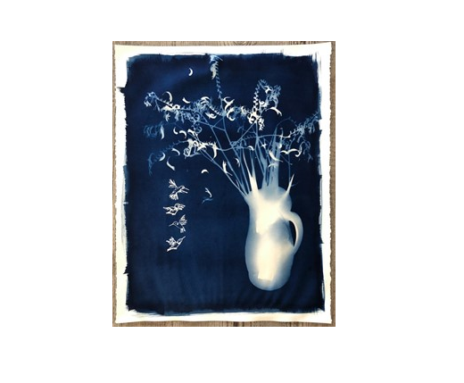 Celebrate Summer with Cyanotypes