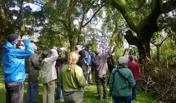 Uw Botanic Gardens Life Skills Schools Seattle Coursehorse