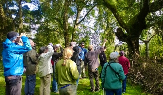 Uw Botanic Gardens Life Skills Schools Seattle Coursehorse