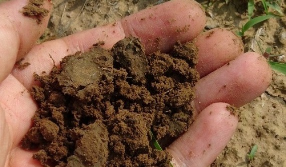 Soils Science - Full Series