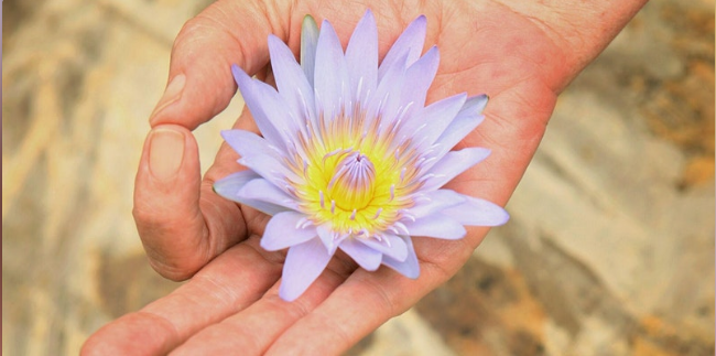 Whimsical Womb Expo: An Evening of Community, Healing and Joy!