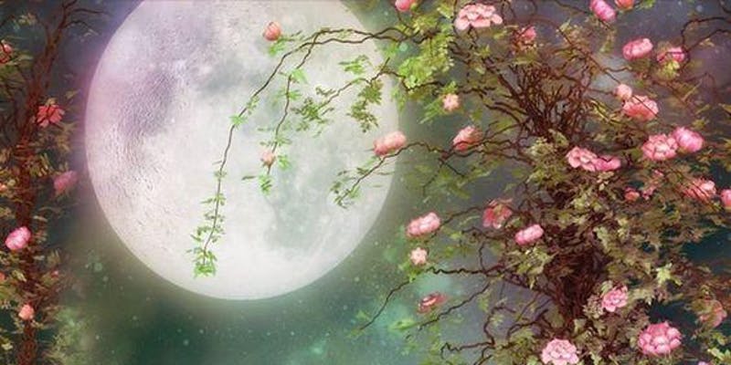 Magick Meditation: Enchantment & Energetic Spellcasting