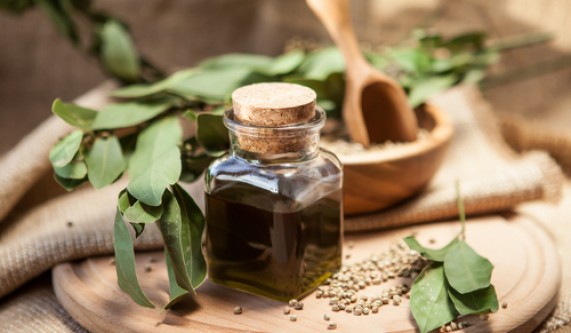 Plant Medicine Support for a Vibrant New Year