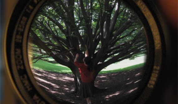 Thinking Image First: Visual Storytelling