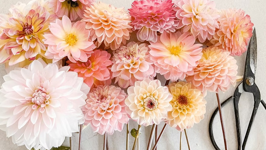 Introduction to Floral Design: Compote Centerpieces