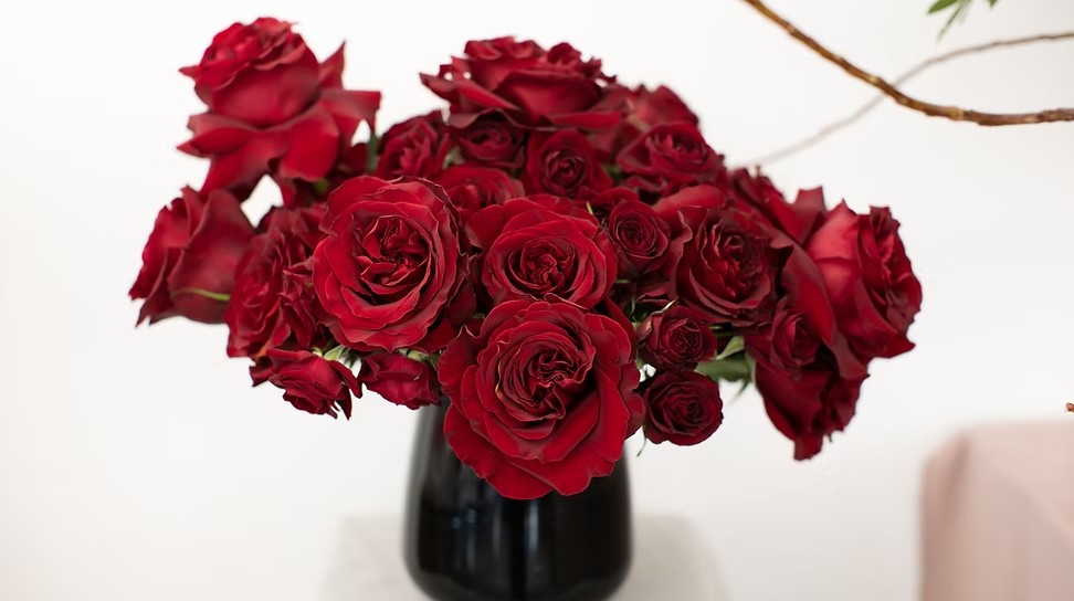 Roses & Rosé: A Valentine’s Floral Workshop