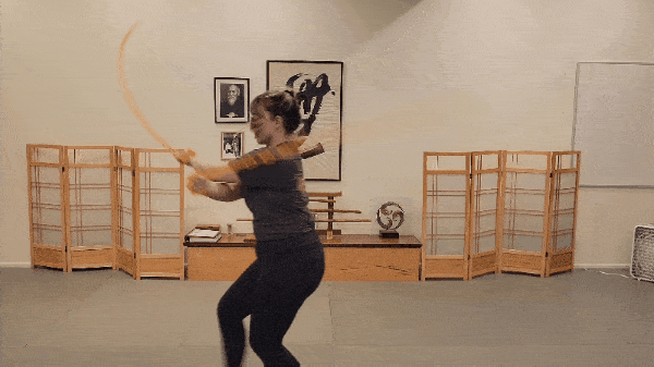 Flexible Weapons: A Special Seminar